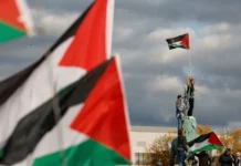 Gaza je sama preživjela