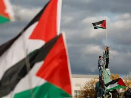 Gaza je sama preživjela