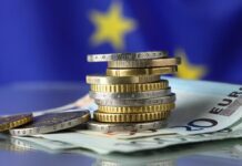 Evropski ekonomski paradoks